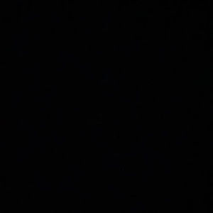 Meet your Posher, Ricky